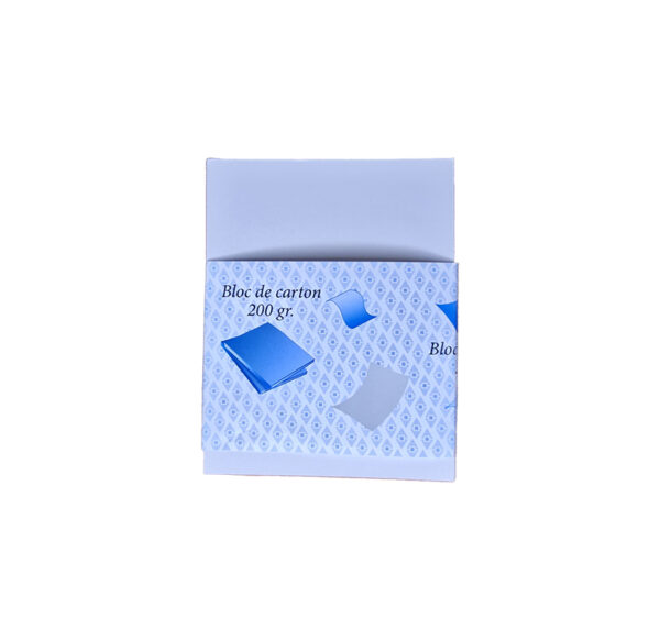 Bloc Carton  200g 9x13 CP